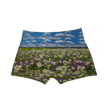 Alpen Feelings Boxer