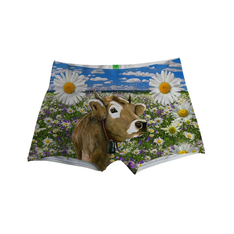 Alpen Feelings Boxer