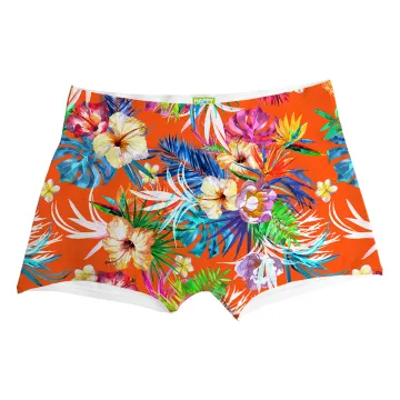 California Dream Boxer