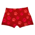Cat And Dog Boxer