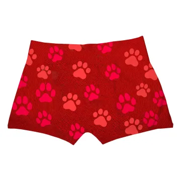 Cat And Dog Boxer