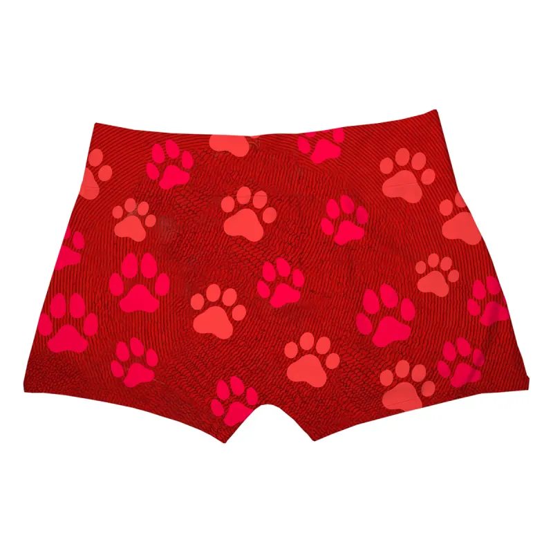 Cat And Dog Boxer