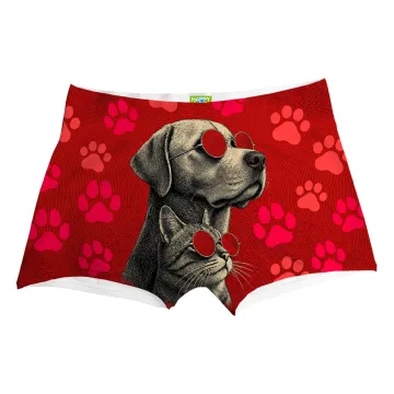 Cat And Dog Boxer