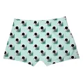 Coffee Mint Boxer