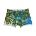 Island Days Boxer