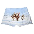 Jolly Moves Boxer