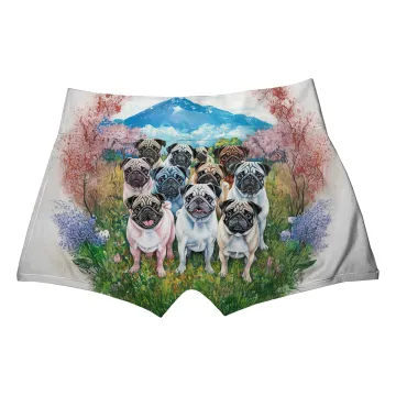 Pug World Boxer
