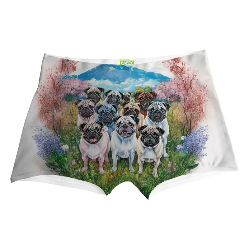 Pug World Boxer