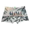 Winter Birds Boxer