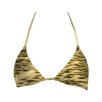 Paris Dakar Top Triangle