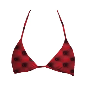 Santa Truck Top Triangle