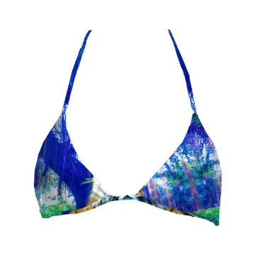 The Beauty Top Triangle