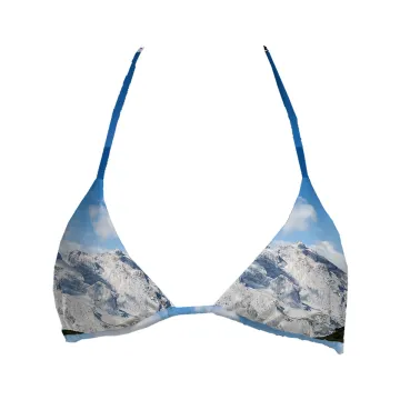 Winter Skyline Top Triangle